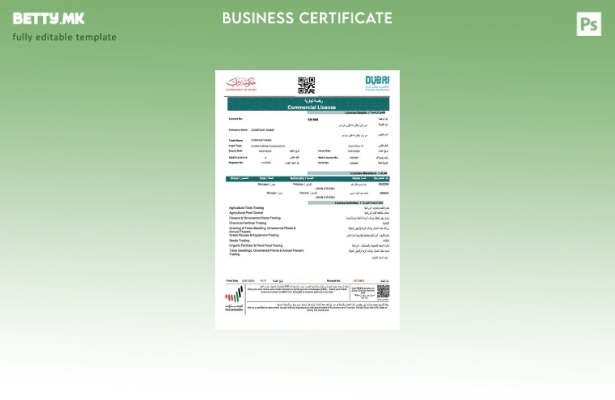 модерен стил ОАЕ Дубаи комерцијална лиценца Шаблон Word и PDF, шаблон за верзија